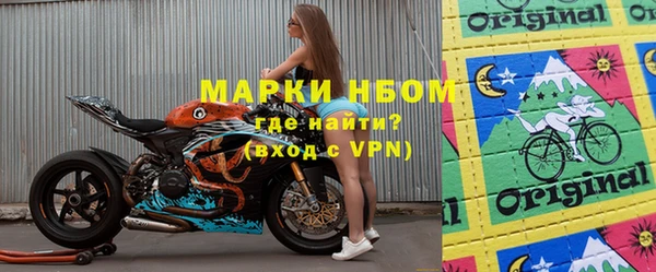 индика Алзамай