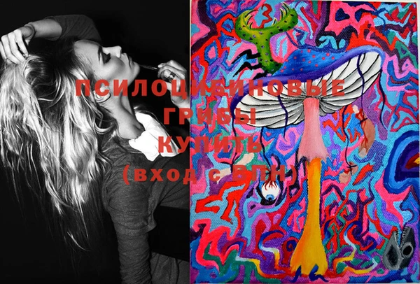 стафф Абаза