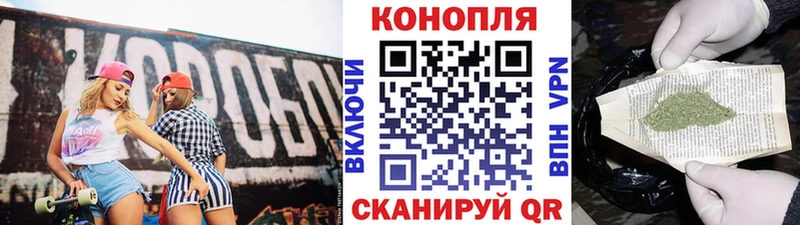 купить  цена  Дубовка  Бошки Шишки планчик 